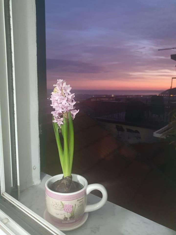 Appartamento Bellavista Castelnuovo Magra Bagian luar foto